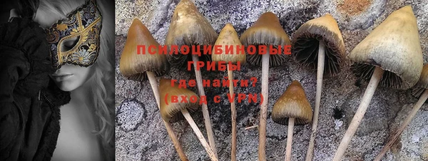 каннабис Беломорск