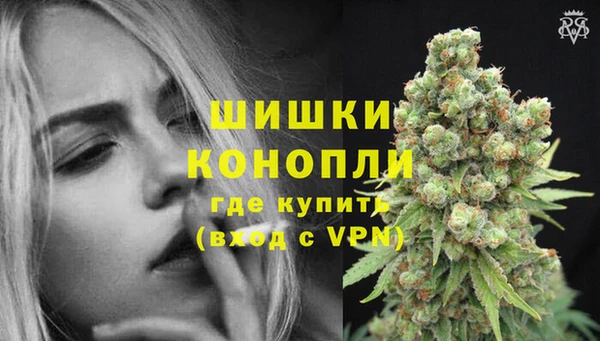 a pvp Белокуриха