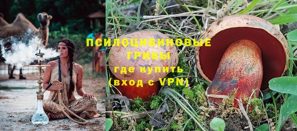 a pvp Белокуриха