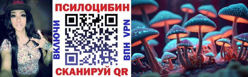 darknet какой сайт Гремячинск Псилоцибиновые грибы Cubensis